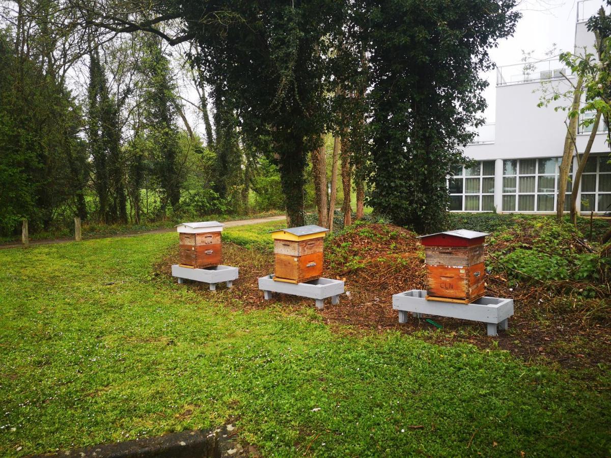 Novotel Senart Golf De Greenparc 4* Saint-Pierre-du-Perray